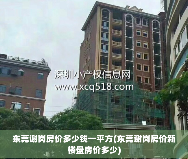 东莞谢岗房价多少钱一平方(东莞谢岗房价新楼盘房价多少)