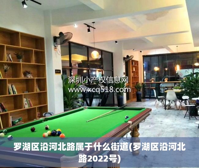 罗湖区沿河北路属于什么街道(罗湖区沿河北路2022号)