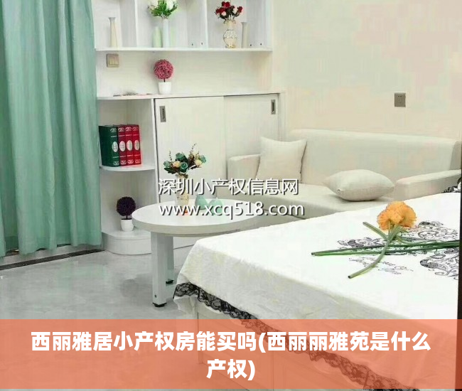 西丽雅居小产权房能买吗(西丽丽雅苑是什么产权)
