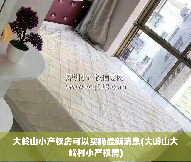 大岭山小产权房可以买吗最新消息(大岭山大岭村小产权房)