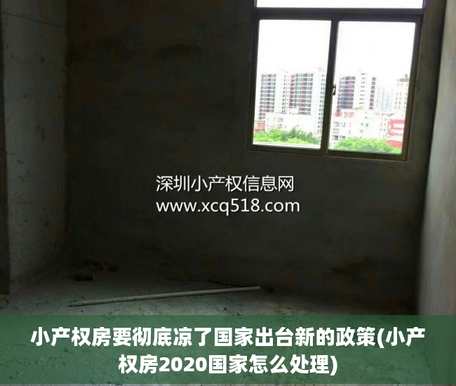 小产权房要彻底凉了国家出台新的政策(小产权房2020国家怎么处理)