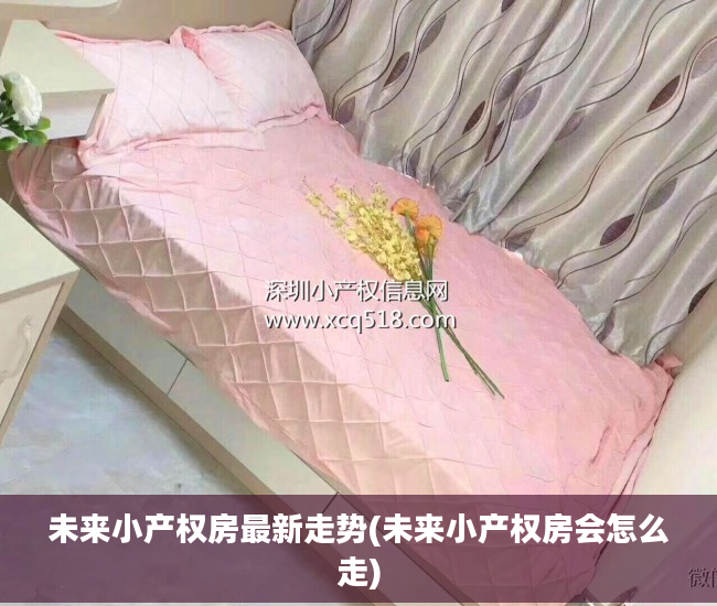 未来小产权房最新走势(未来小产权房会怎么走)