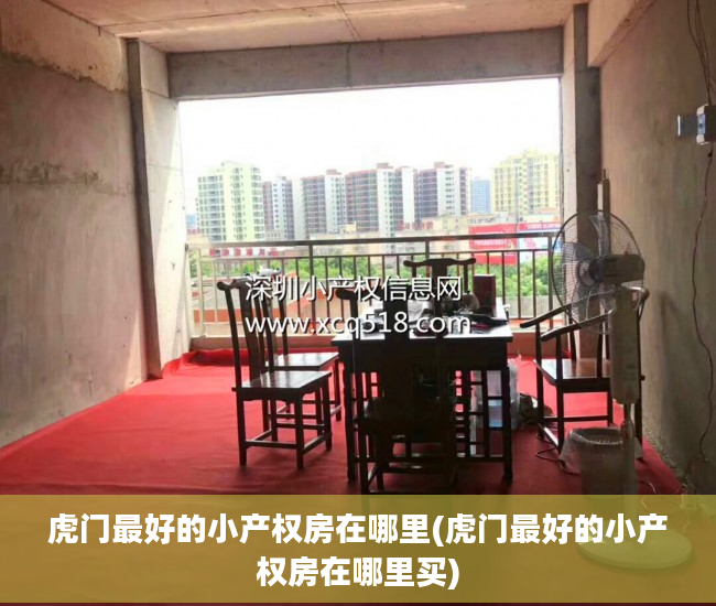 虎门最好的小产权房在哪里(虎门最好的小产权房在哪里买)
