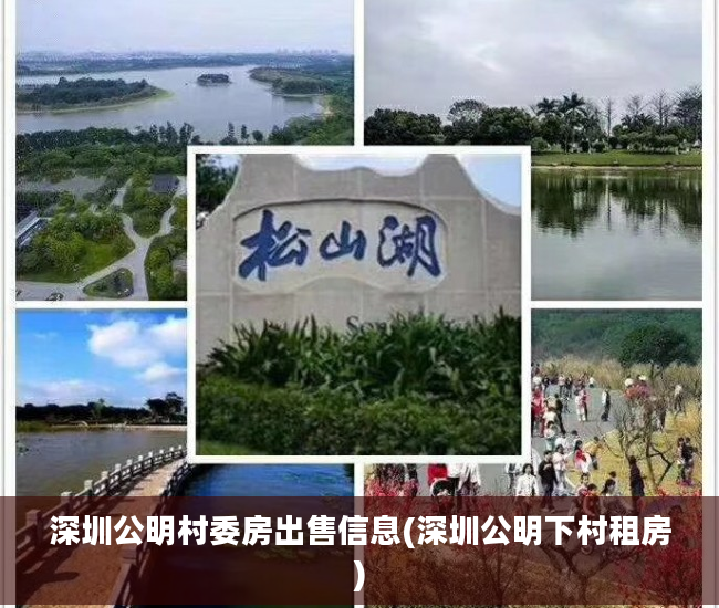 深圳公明村委房出售信息(深圳公明下村租房)