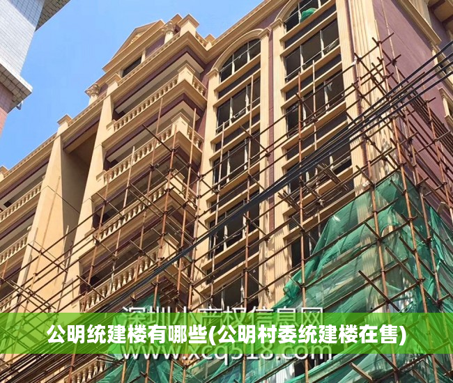 公明统建楼有哪些(公明村委统建楼在售)