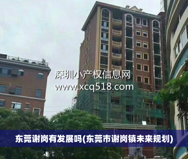 东莞谢岗有发展吗(东莞市谢岗镇未来规划)
