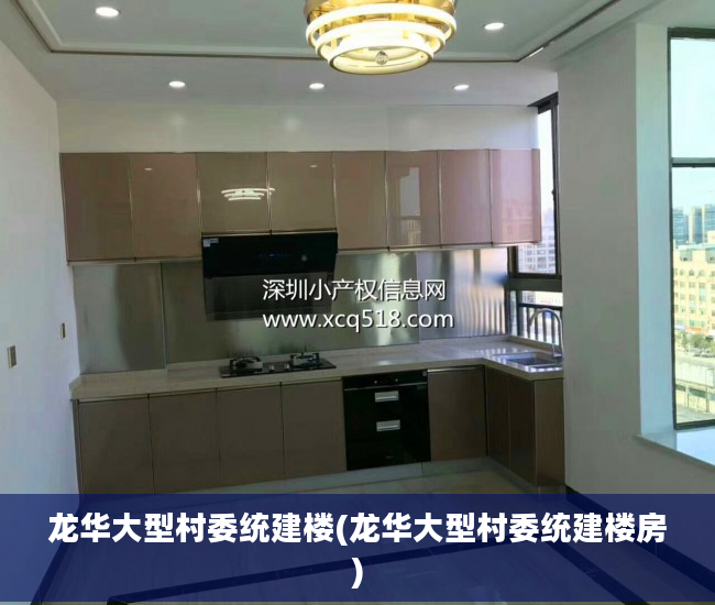 龙华大型村委统建楼(龙华大型村委统建楼房)