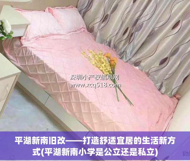 平湖新南旧改——打造舒适宜居的生活新方式(平湖新南小学是公立还是私立)