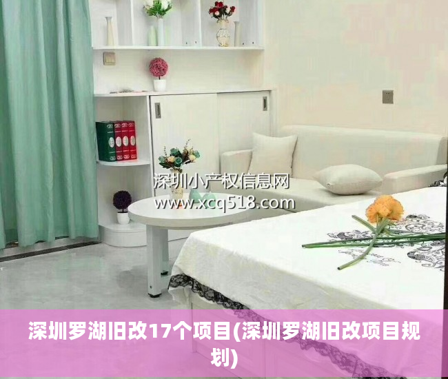 深圳罗湖旧改17个项目(深圳罗湖旧改项目规划)