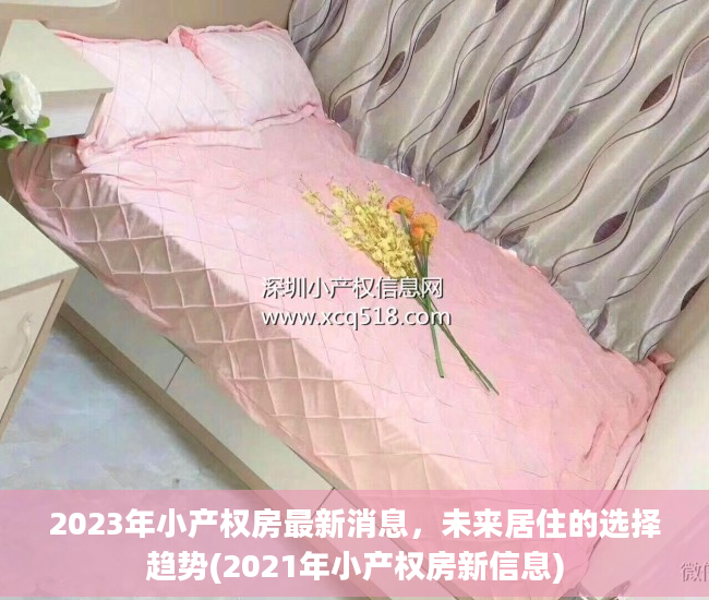 2023年小产权房最新消息，未来居住的选择趋势(2021年小产权房新信息)
