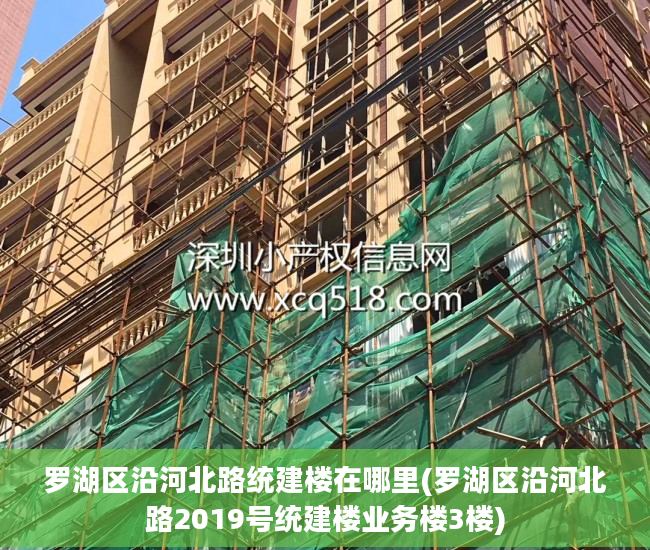 罗湖区沿河北路统建楼在哪里(罗湖区沿河北路2019号统建楼业务楼3楼)