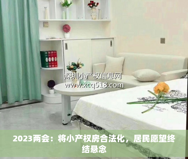2023两会：将小产权房合法化，居民愿望终结悬念