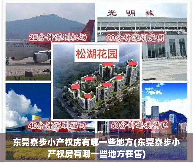 东莞寮步小产权房有哪一些地方(东莞寮步小产权房有哪一些地方在售)