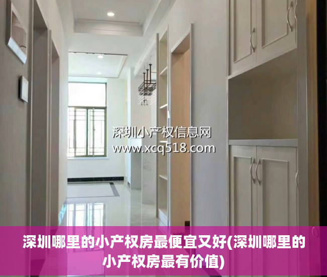 深圳哪里的小产权房最便宜又好(深圳哪里的小产权房最有价值)
