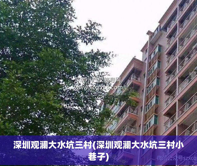 深圳观澜大水坑三村(深圳观澜大水坑三村小巷子)