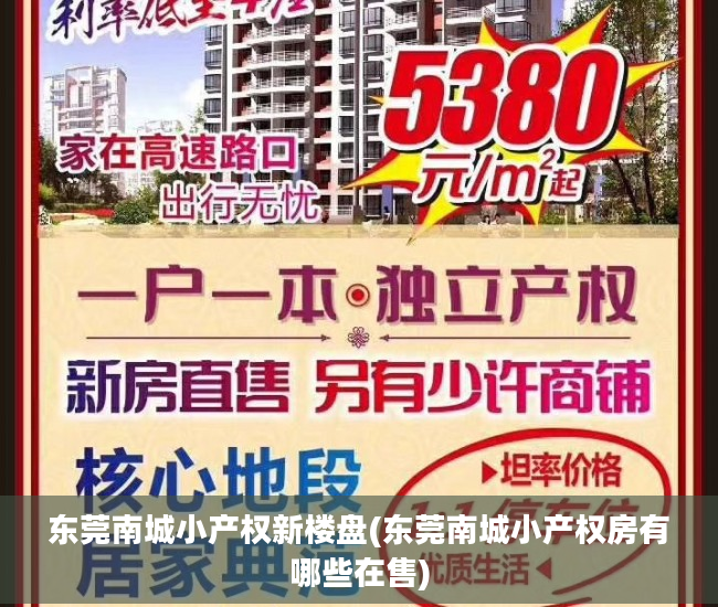 东莞南城小产权新楼盘(东莞南城小产权房有哪些在售)