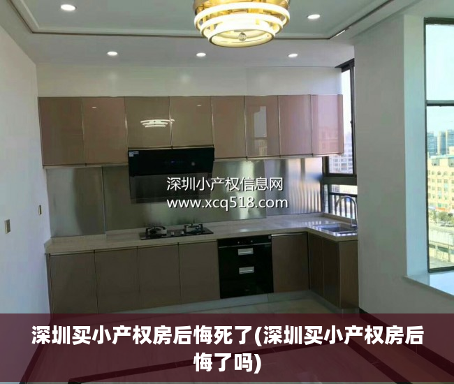 深圳买小产权房后悔死了(深圳买小产权房后悔了吗)