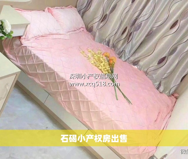 石碣小产权房出售