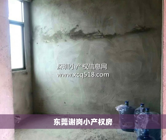 东莞谢岗小产权房