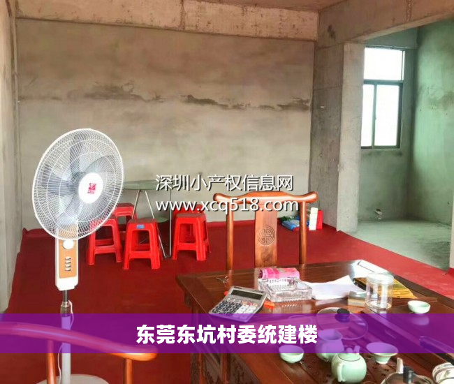 东莞东坑村委统建楼