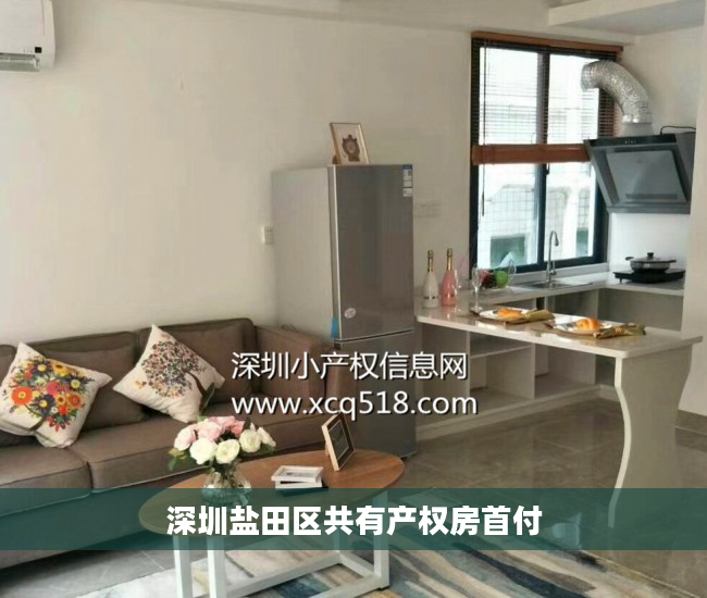 深圳盐田区共有产权房首付
