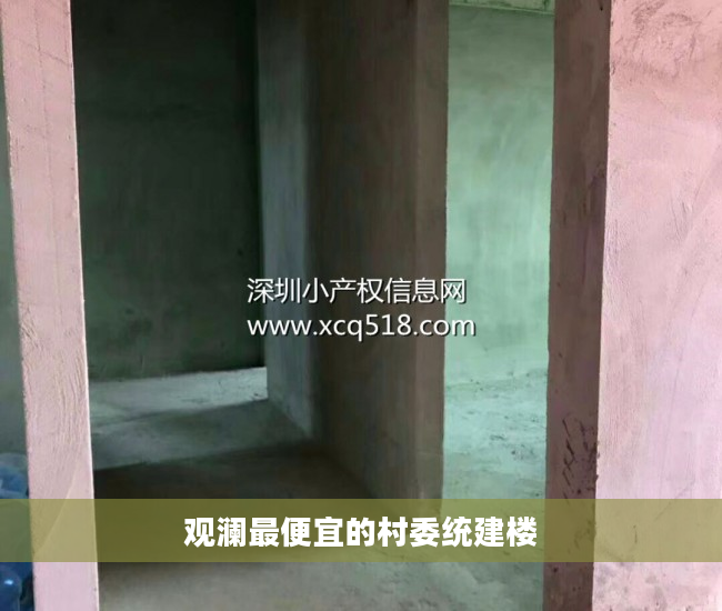 观澜最便宜的村委统建楼