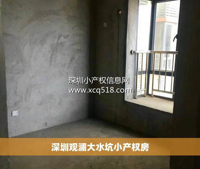深圳观澜大水坑小产权房