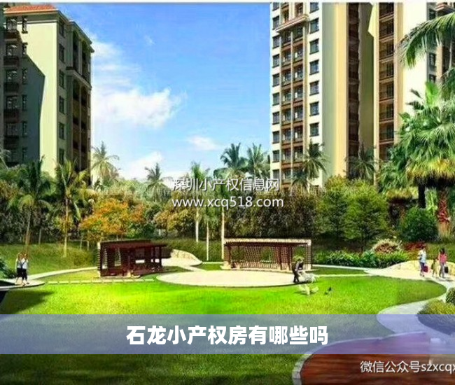 石龙小产权房有哪些吗