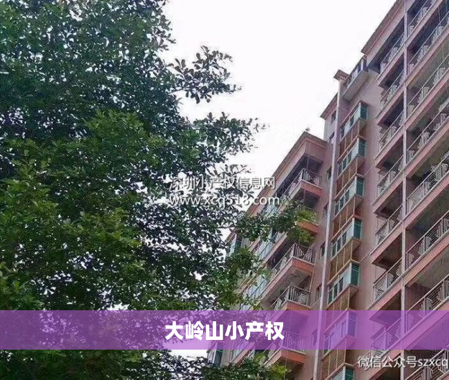 大岭山小产权