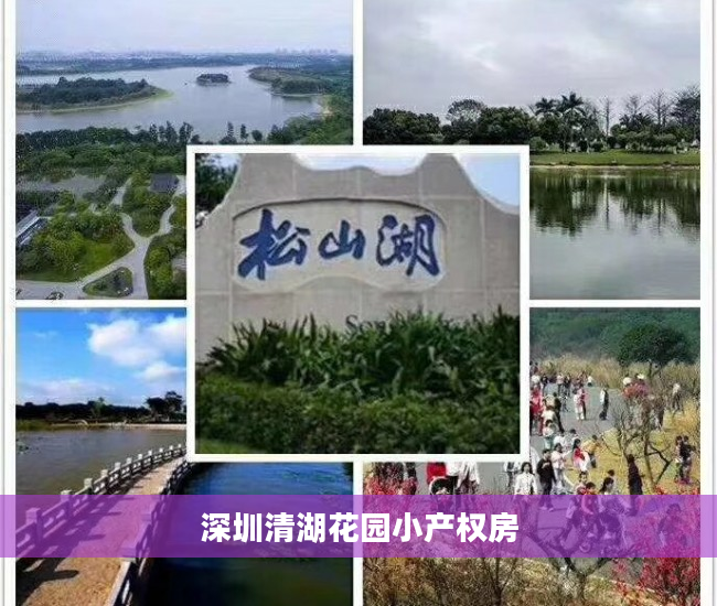 深圳清湖花园小产权房