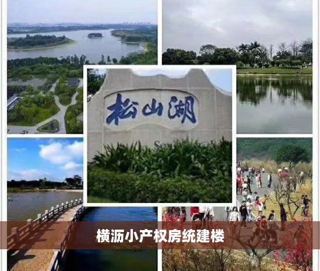 横沥小产权房统建楼