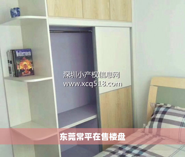 东莞常平在售楼盘