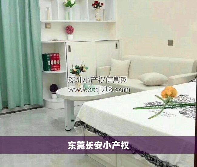 东莞长安小产权