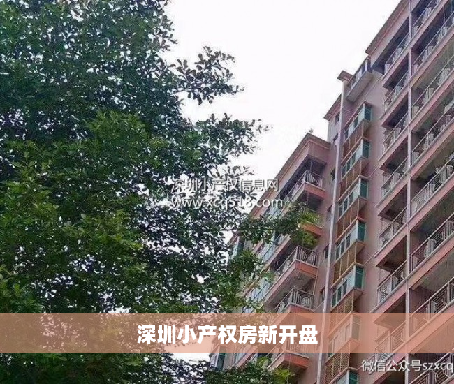 深圳小产权房新开盘