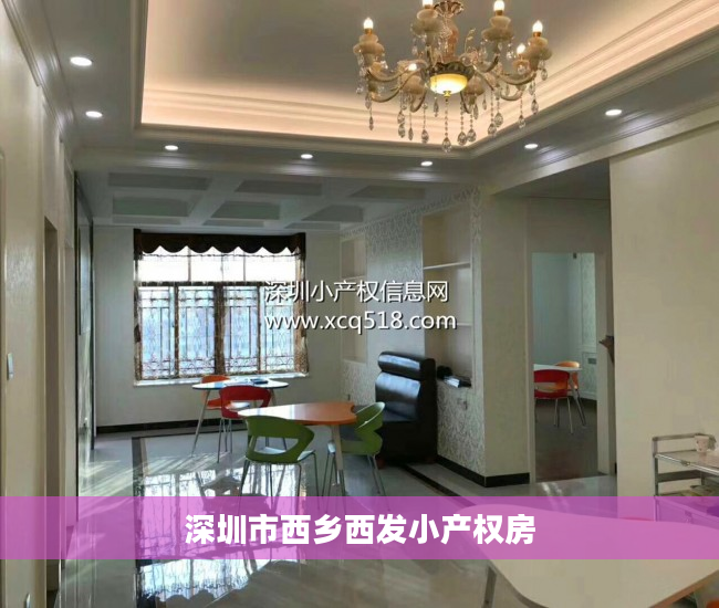 深圳市西乡西发小产权房