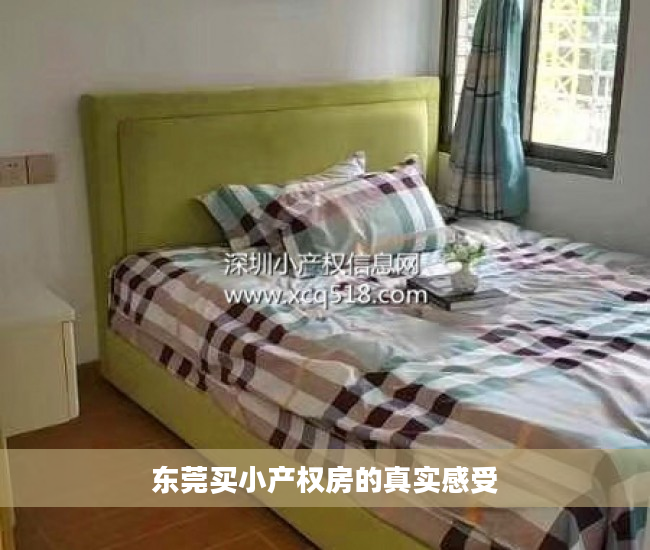 东莞买小产权房的真实感受