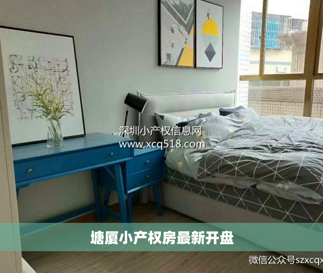 塘厦小产权房最新开盘