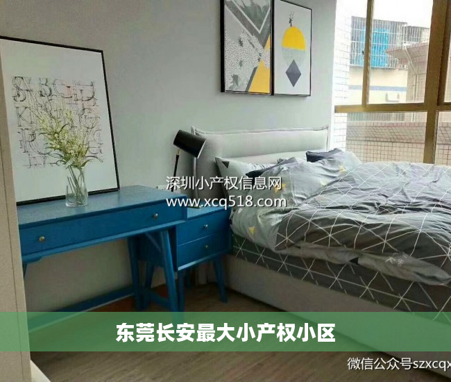 东莞长安最大小产权小区