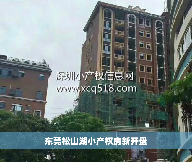 东莞松山湖小产权房新开盘