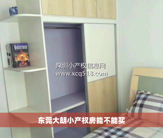 东莞大朗小产权房能不能买