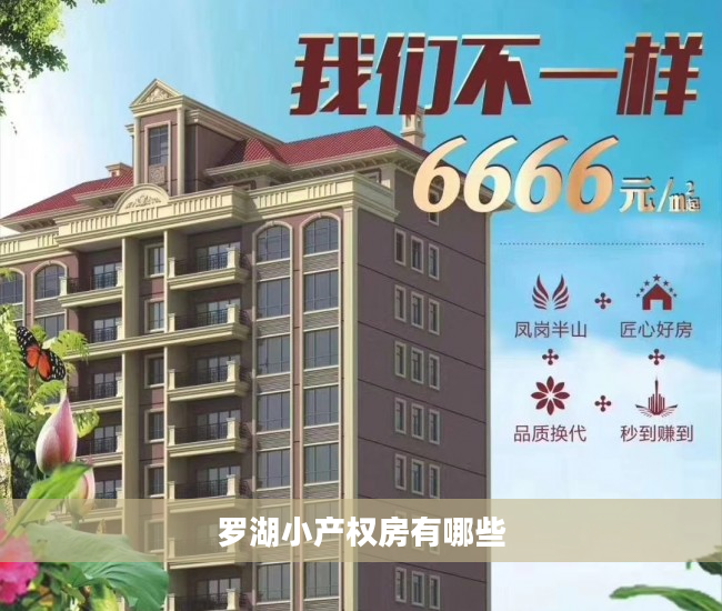 罗湖小产权房有哪些