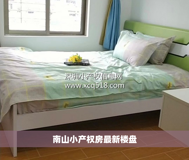 南山小产权房最新楼盘