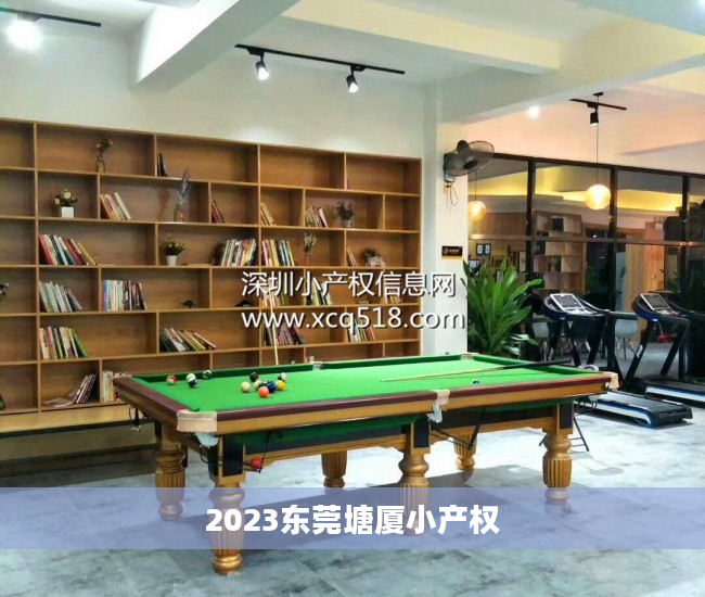 2023东莞塘厦小产权