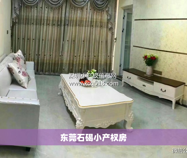 东莞石碣小产权房