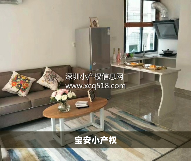 宝安小产权