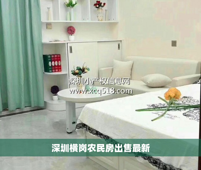 深圳横岗农民房出售最新