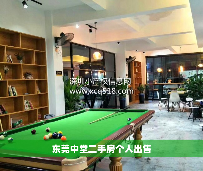 东莞中堂二手房个人出售