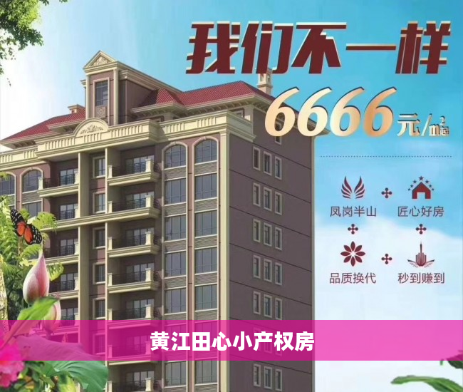 黄江田心小产权房