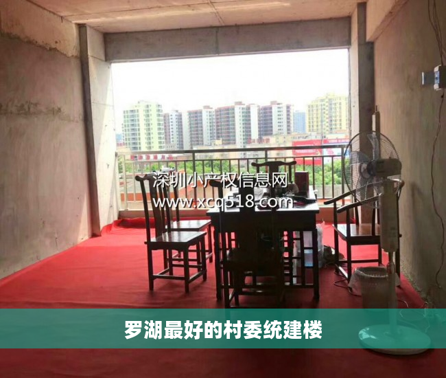 罗湖最好的村委统建楼