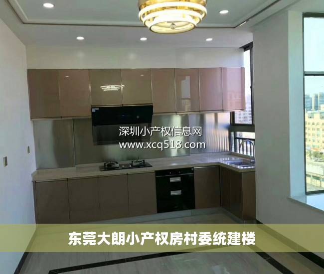 东莞大朗小产权房村委统建楼